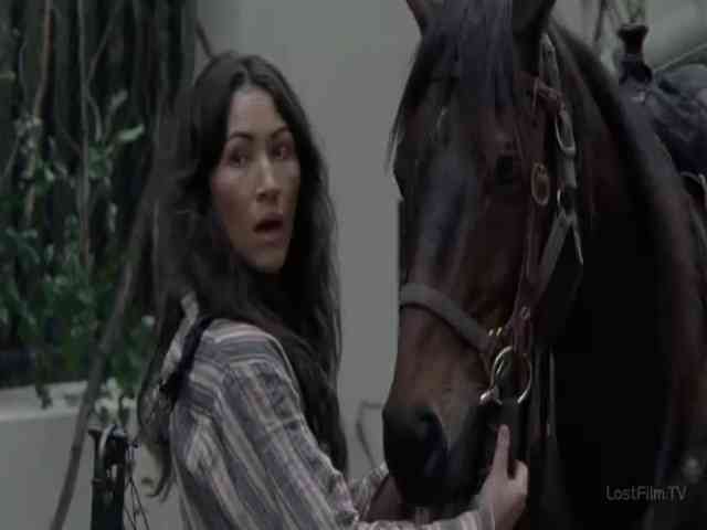 10 сезон 15 кадр 5